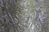 High Nibthwaite fibreglass roof work